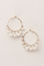 Demetria Earrings : BHLDN Demetria Earrings Gold  in  Shoes & Accessories | BHLDN