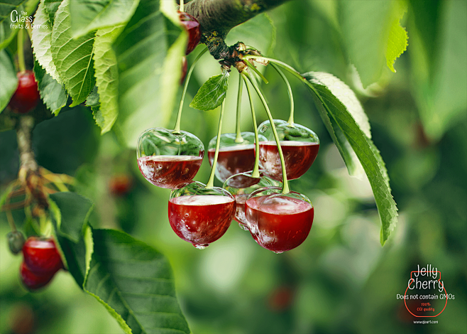 The Glass fruits & b...