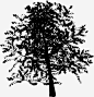 树矢量图高清素材 树 树剪影 树干 矢量图 免抠png 设计图片 免费下载