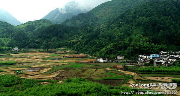 旅行:江南逸事（七）—九华山的茶农与和尚...