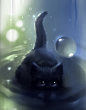 Black cat swimming