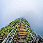  美国夏威夷瓦胡岛Haiku Stairs，通往天国的阶梯。 ​​​​