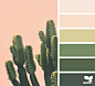 { Cacti Color }