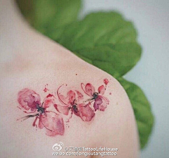 yán·jīn·líng采集到纹身也可以很温柔