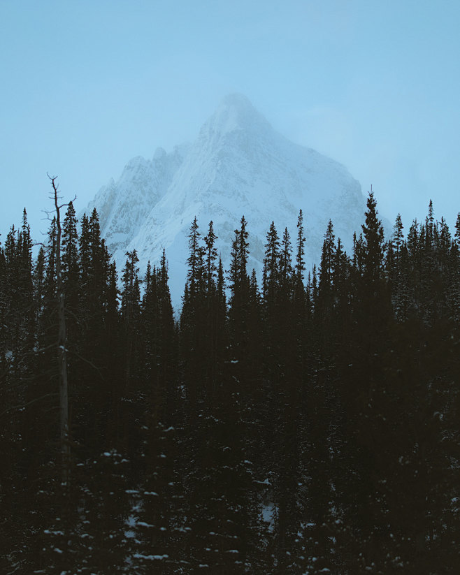 Winter in Alberta on...