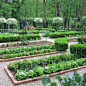 A kitchen garden, or a potager, is a French-style ornamental kitchen garden. It is generally planned for a small space and formal in design, with mostly vegetables and fruit and some cut flowers. Let's explore!: 
