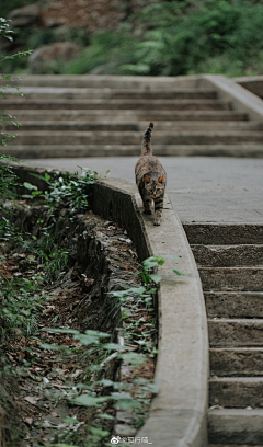 纱蓝采集到岁月海