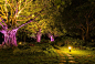 南湖公园夜景照明，打造南宁城市后花园 -中国照明网