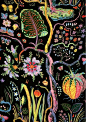 Josef Frank