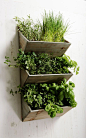 Cute Herb Planter Box perfect for the kitchen. Make it yourself or purchase one just like this from Ebay.: