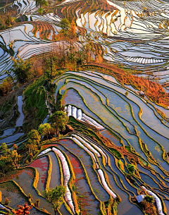 任哈哈采集到风景