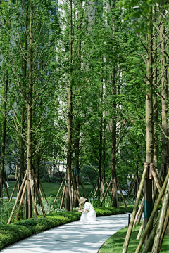 蓝瑟丿枫采集到植物种植