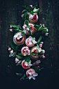 SOURCREAM RHUBARB CUPCAKES WITH GINGER CREAM CHEESE FROSTING AND POACHED RHUBARB