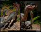 sideshow 恐龙场景 双嵴龙 Dilophosaurus Maquette普通版 售完-淘宝网