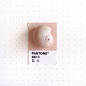 Pantone 482 color match. A little sea shell I picked up at Galveston Beach on Thanksgiving weekend. Had a wonderful much needed break and family time with my husband and kids.