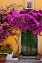 Blossoms over doorway to Greek Orthodox Monastery of the Virgin Mary on Cofu, Greece