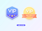 Vip Icon X2 : View on Dribbble