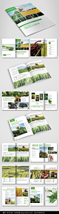 绿色农产品画册图片