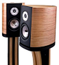 The 12 Most Significant Loudspeakers of All Time | The Absolute Sound Magico Mini II