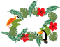 [美工云]Tropical-plant-flowers矢量热带植物元素_PNG：