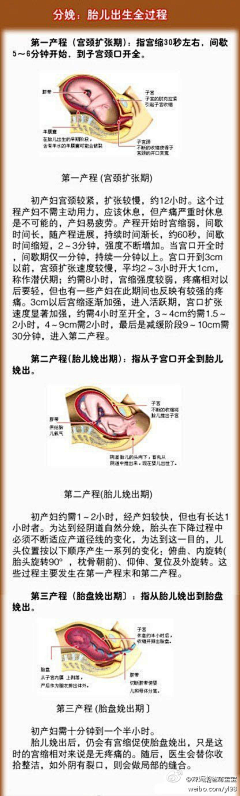 心印纹身采集到教育