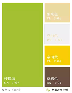 MocoChai采集到G——Color