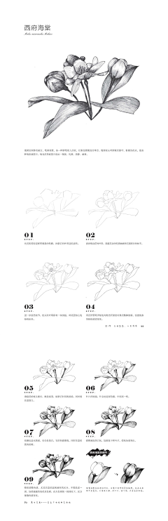 绘客采集到【黑白画技法教程】