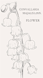 【花，手绘①】 - 视觉中国设计师社区