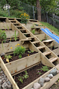 how to build terrace garden beds on a hillside. We don't have a hillside like this, but this is a really great idea.: