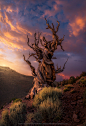 The Aged by Greg Boratyn on 500px