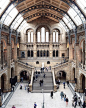 Natural History Museum, London.