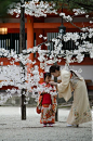 De ravissantes japonaises dans le jardin  d'un temple.....