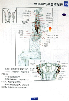 C加嘉雷悉尼小冰枫采集到建身图