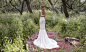 hip chic wedding dresses utah