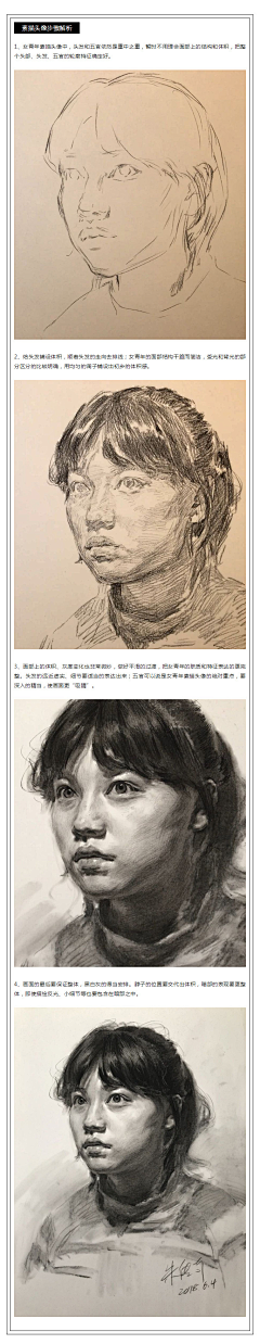 波哇采集到素描头像结构及作画步骤