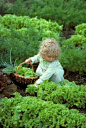 Little gardener: 