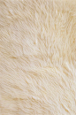 皮毛地毯贴图-170183dmax材质