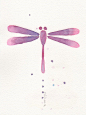 昆虫手绘 水彩 清新 蜻蜓