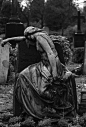 Weeping Angel