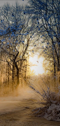 Winter's light • photo: Chris Pellaers on 500px