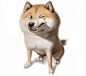 Shiba illustration, Stefan Hansson : I love dogs. Love shiba. =)