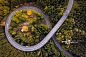 Drone view of curve road through Autumn forest on mountain详情 - 创意图片 - 视觉中国 VCG.COM