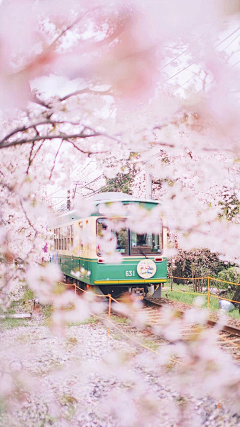 黑绸子采集到美景