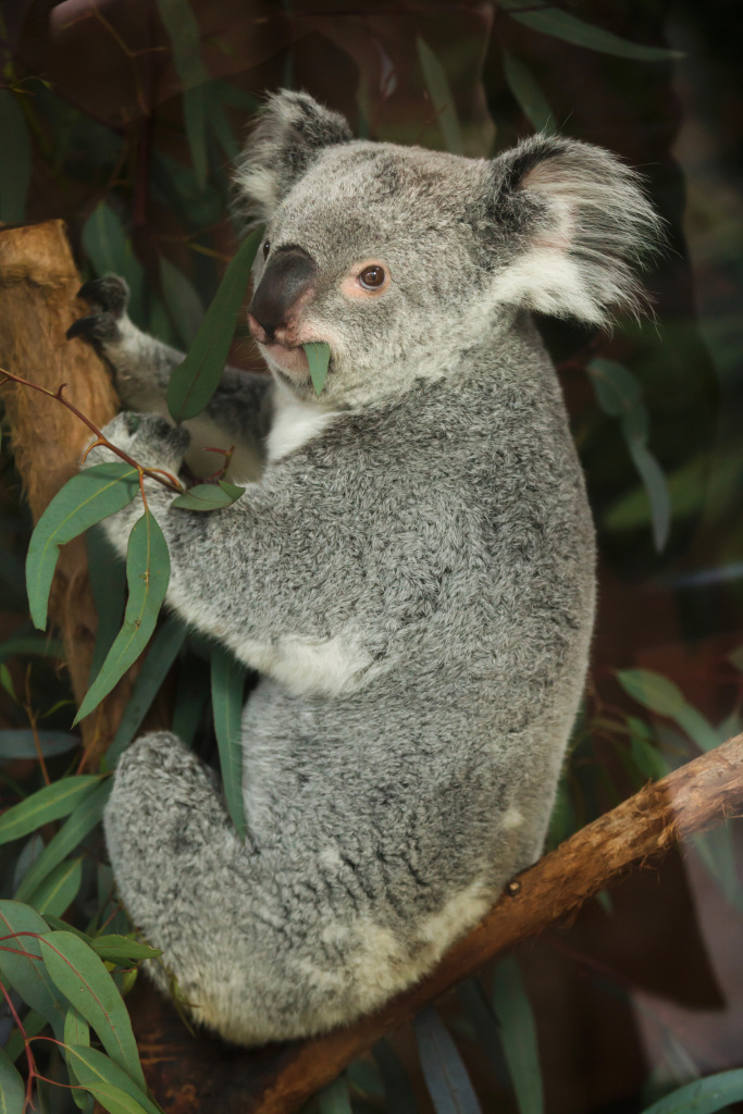 8902bd40fe7c1b8cd46b2a3e904424dabf5dc1b83f634-40oMq6