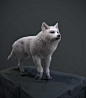 ArtStation - Game Art Wolf Study, Tyler Smith