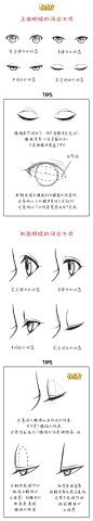 CC动漫社的照片 - 微相册