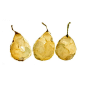 Yellow Pears, art Print of  original  watercolor painting, three  pears, still life, botanical,  golden yellow, kitchen art