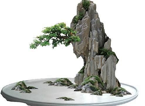 Bonsai