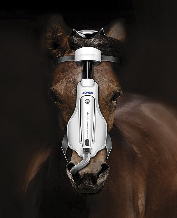 Equine Airway Exerci...