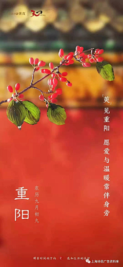 小艾芳采集到海报